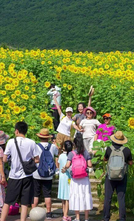 阿里旅行客户端领取阿里商旅官网首页-第8张图片-太平洋在线下载 阿里旅行客户端领取阿里商旅官网首页-第8张图片-太平洋在线下载