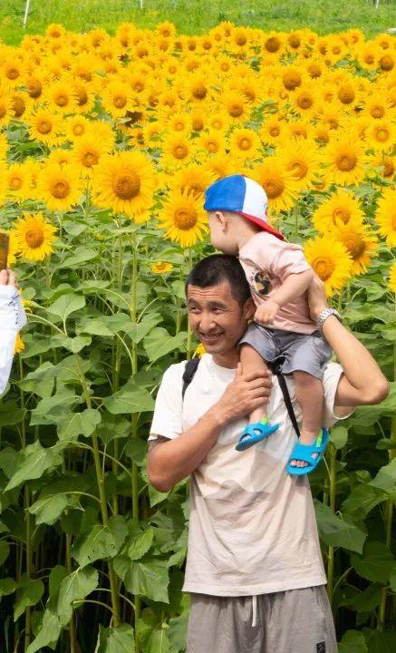 阿里旅行客户端领取阿里商旅官网首页-第9张图片-太平洋在线下载 阿里旅行客户端领取阿里商旅官网首页-第9张图片-太平洋在线下载
