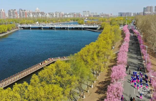 阿里旅行客户端领取阿里商旅官网首页-第35张图片-太平洋在线下载 阿里旅行客户端领取阿里商旅官网首页-第35张图片-太平洋在线下载