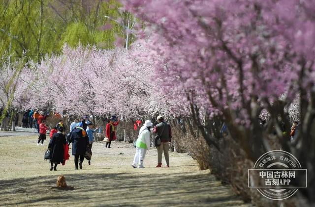 阿里旅行客户端领取阿里商旅官网首页-第37张图片-太平洋在线下载 阿里旅行客户端领取阿里商旅官网首页-第37张图片-太平洋在线下载