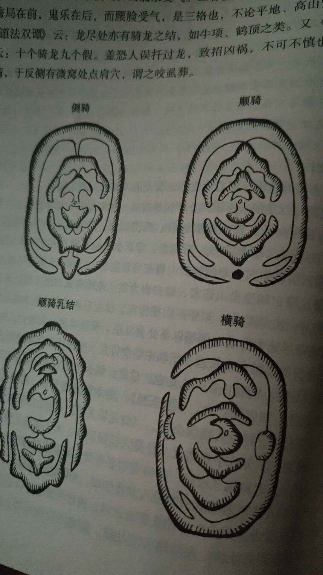 寻龙点穴大全手机版寻龙点穴风水图解大全-第1张图片-太平洋在线下载