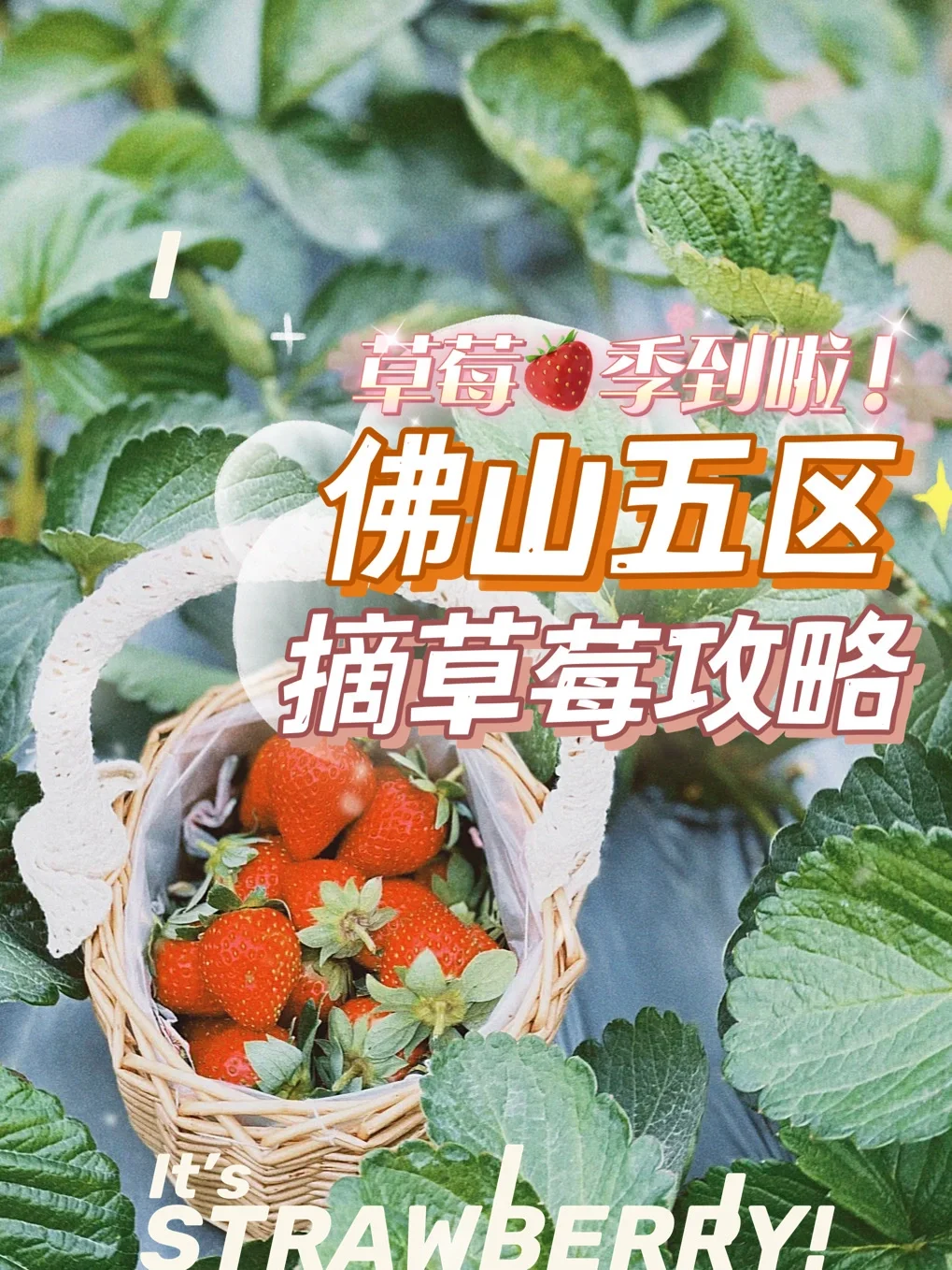 摘草莓攻略苹果版仙剑98苹果版攻略-第1张图片-太平洋在线下载