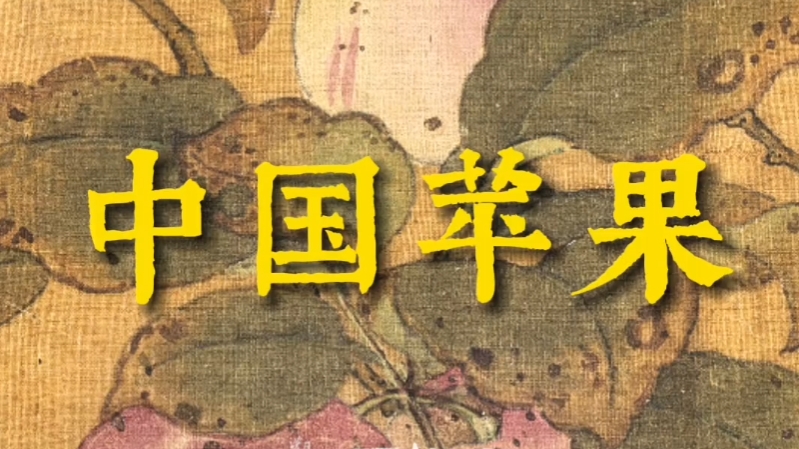 欧洲苹果古画现实版世界名画苹果挡着了脸-第2张图片-太平洋在线下载