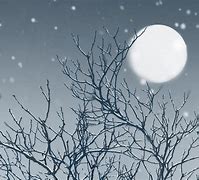 爱西楼手机版风楼阁全国同城网页版-第2张图片-太平洋在线下载