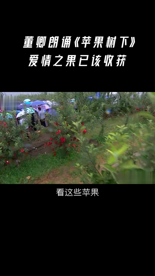 苹果版诗歌版怎么下载(苹果手机怎么下载诗歌本)