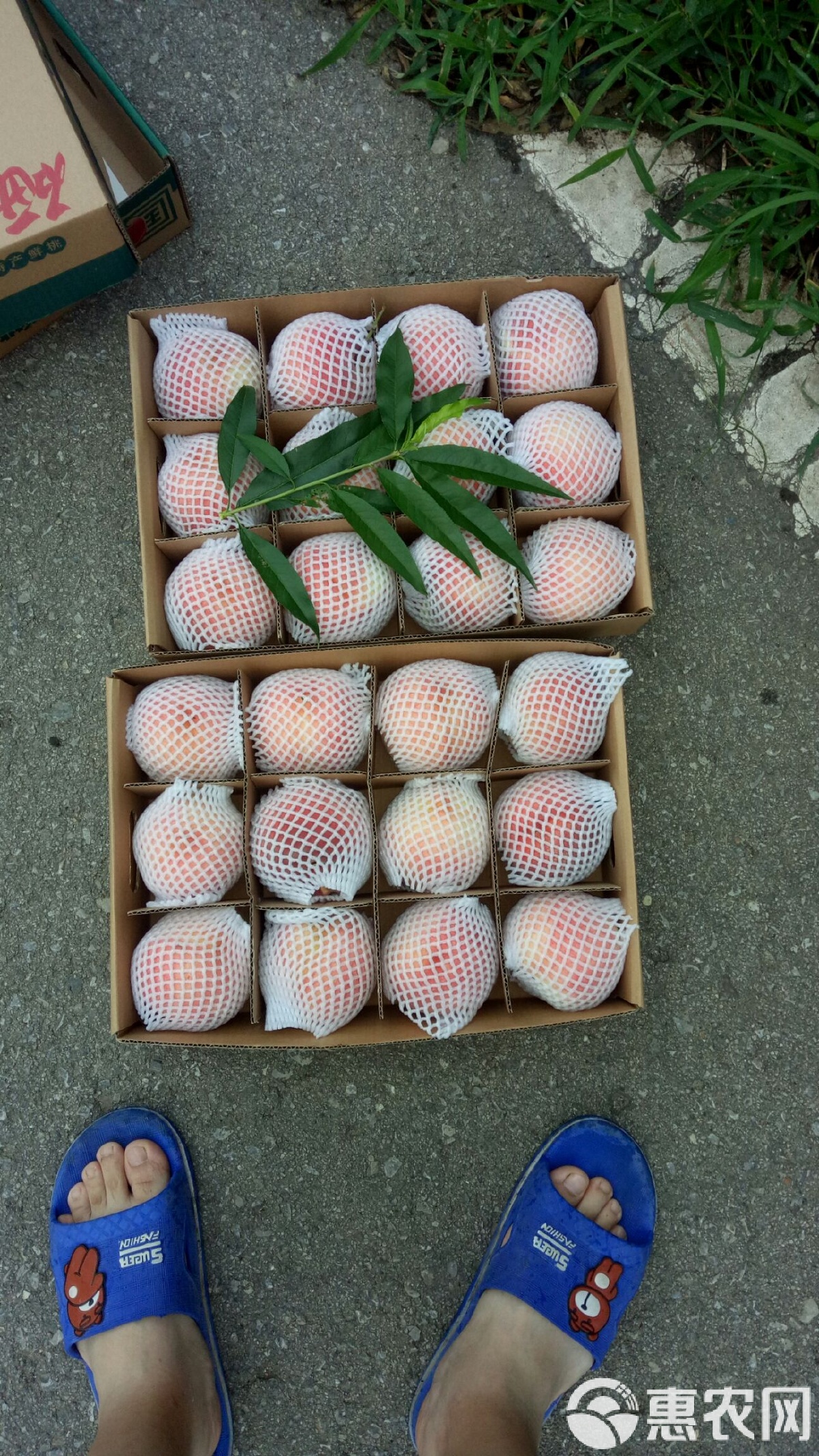 江油红桃3手机版(江油四副牌红桃3手机版)