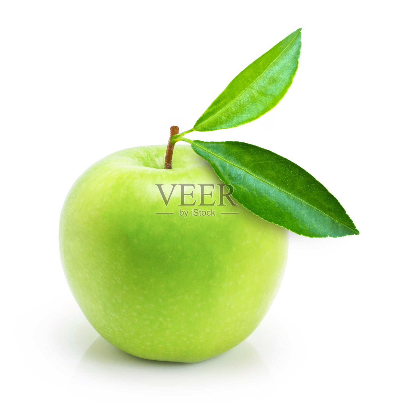 49图库绿版苹果版(49图库免费资料电脑版)-第4张图片-QuickQ官网