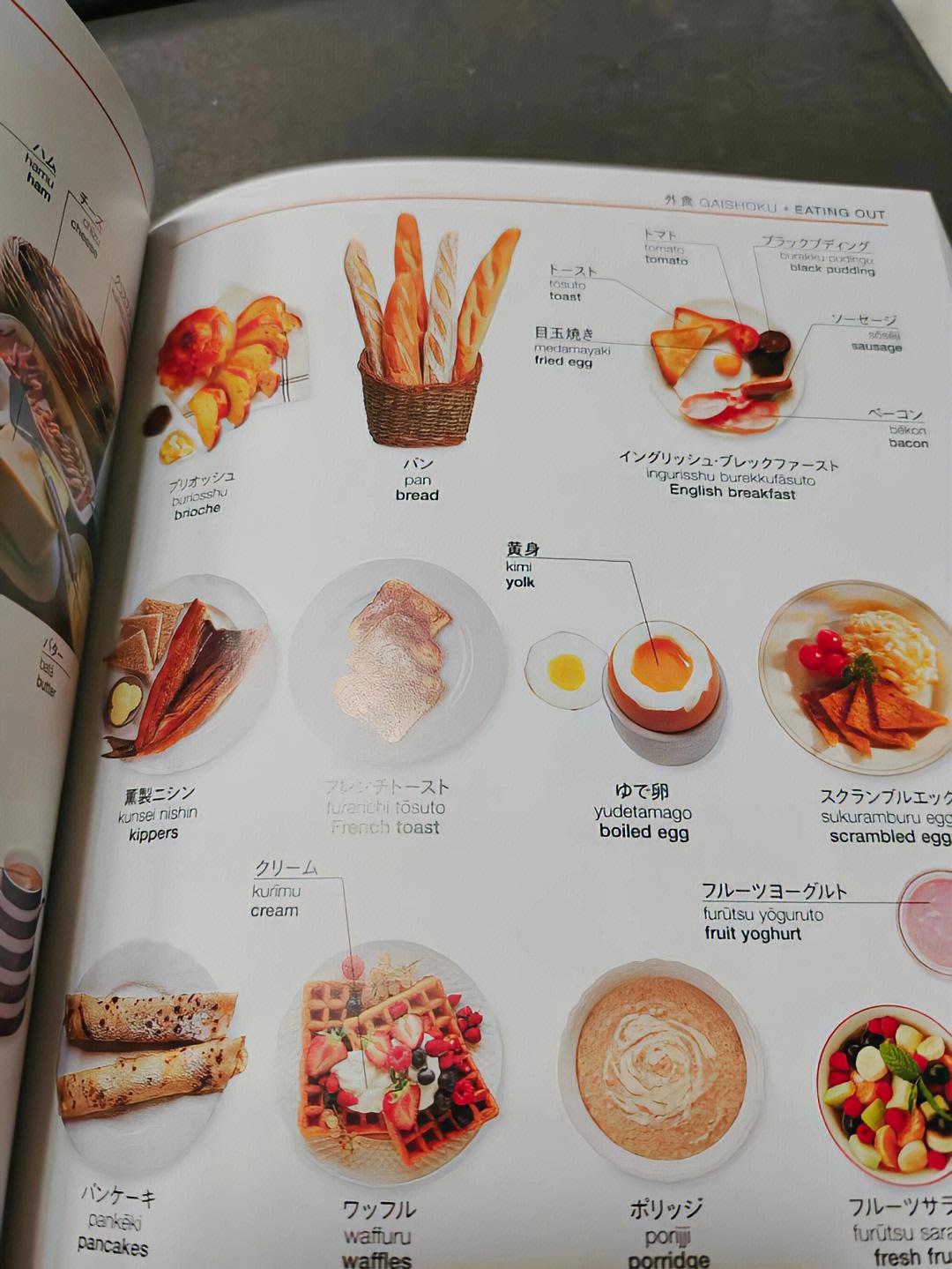 日语词典手机版哪个好(好用的日语词典app安卓免费)-第5张图片-QuickQ官网