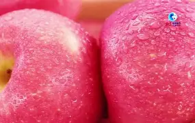 汉语版苹果(苹果语言中文)-第4张图片-QuickQ官网