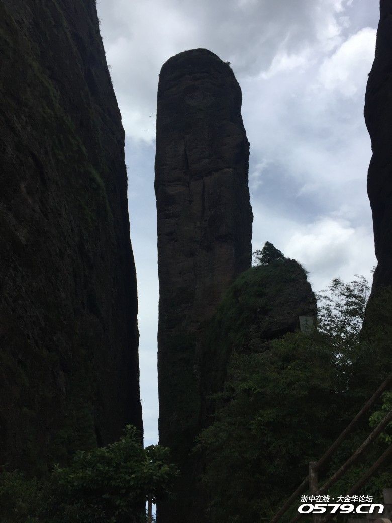 浙中在线手机版(浙中在线是什么单位)-第5张图片-QuickQ官网 浙中在线手机版(浙中在线是什么单位)-第5张图片-QuickQ官网