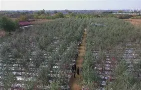 红苹果破解版版(红苹果盒子ios下载)-第3张图片-QuickQ官网