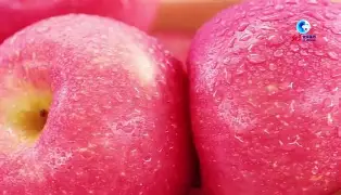 argun苹果版(argun安卓版下载)-第1张图片-QuickQ官网